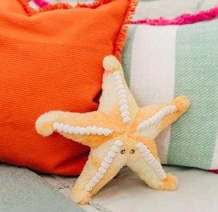 Plush Star Fish